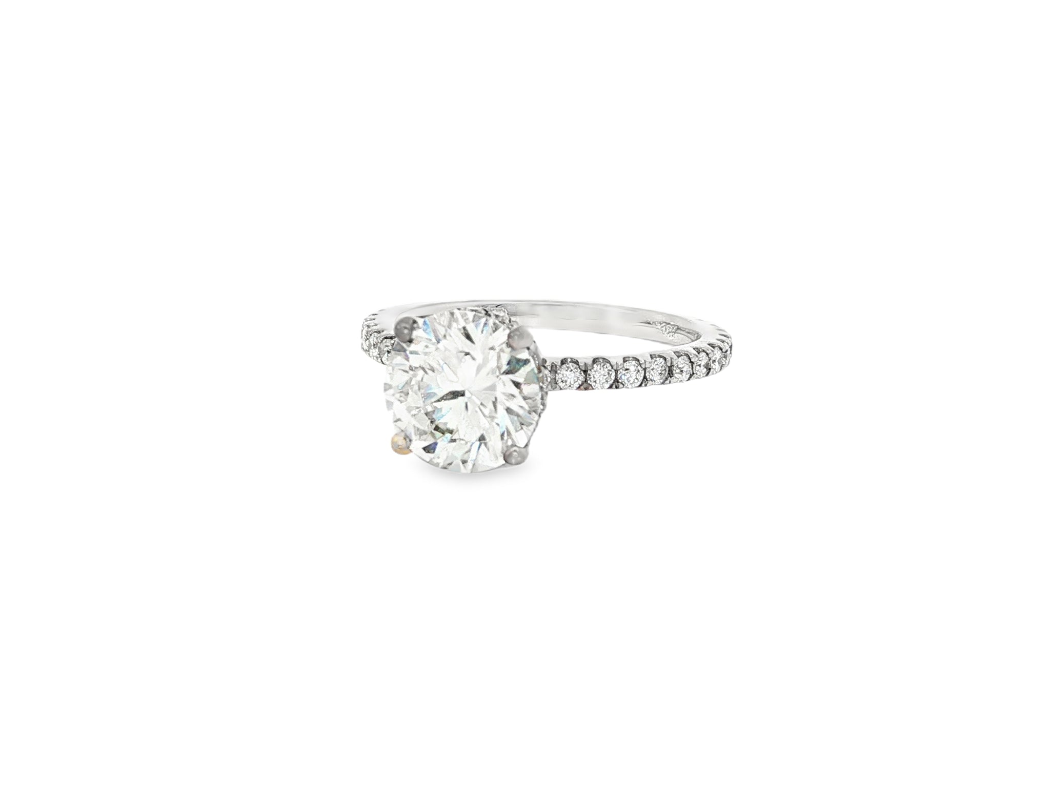 14k Round Cut Petite Micropavé Engagement Ring 2.59 CT - AVI THE JEWELER
